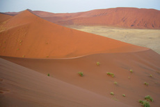 309-900.jpg